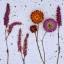 Obraz, Květiny - Barva rámečku: Bílá