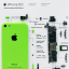 Obraz, Apple iPhone 5C zelený