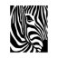 Zebra, nástěnná dekorace